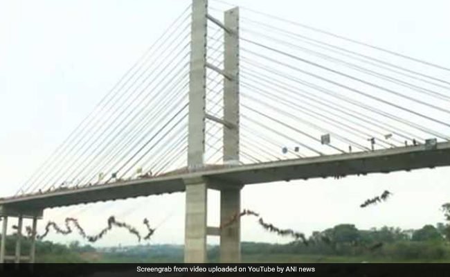 brazil-bridge-jump