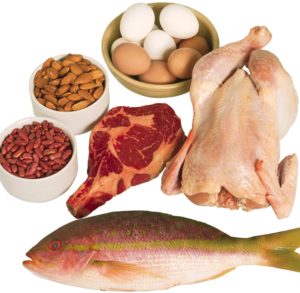 Protein rich food