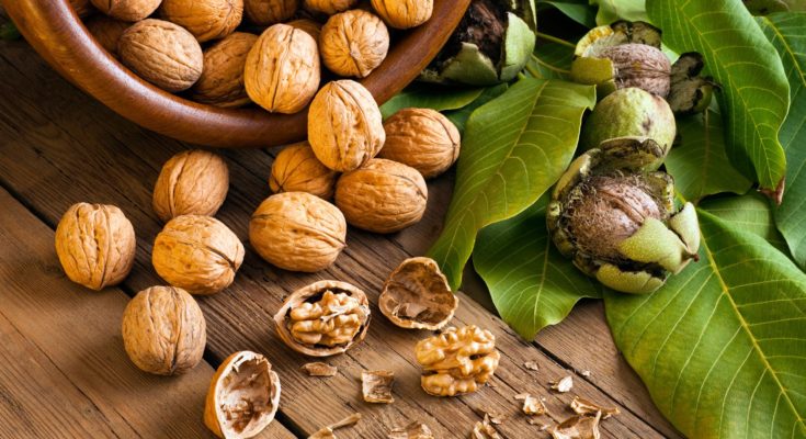 walnuts-benefits-superfood