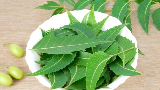 neem-leaves-are used to treat cracked heels