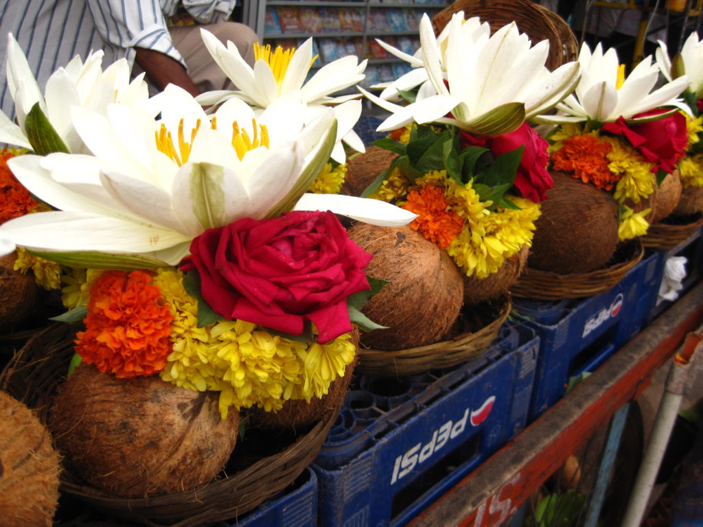 offering coconut to god