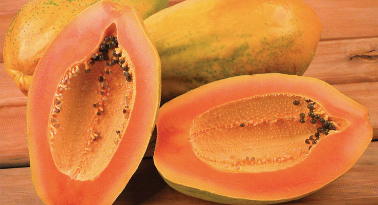 Surprising-Benefits-of-Amazing-Papaya