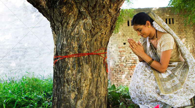 Religious Peepal-tree